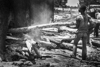 Traveaux_RDC_2015_18